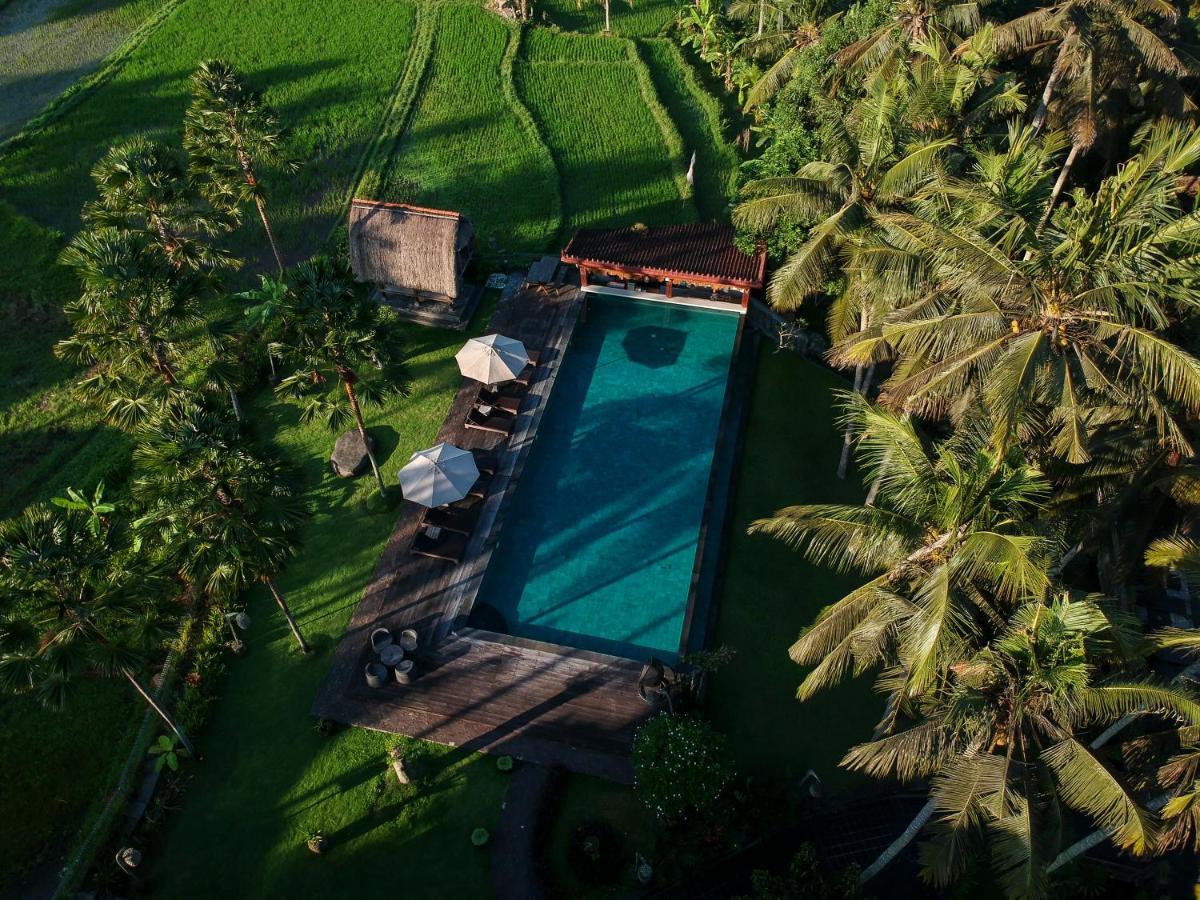 The Artini Dijiwa Hotel Ubud