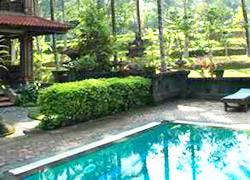 The Artini Dijiwa Hotel Ubud